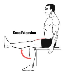 knee-extension